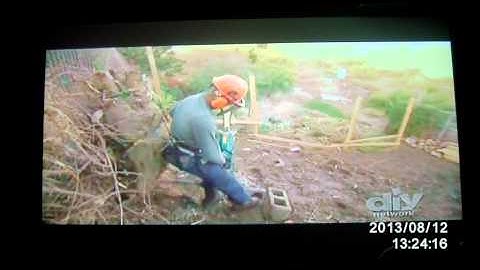 Chainsaw Kickback