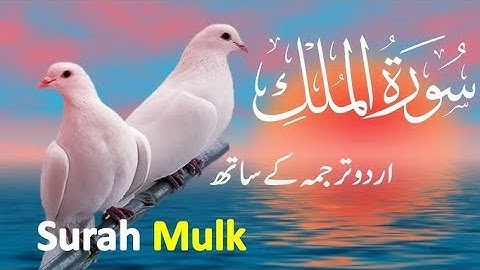 Surah Al mulk with beautiful reaction 🕋 سوره الملك 