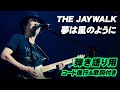 THE JAYWALK 『夢は風のように』 ライヴDVD~ WEEPING IN THE RAIN  雨に泣いてる完成版~