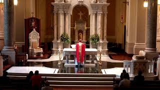 Tuesday of the Ninth Week in Ordinary Time | Cathedral of the Immaculate Conception | Wichita, KS