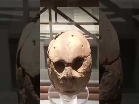 بسام الشماع بساميات سلسلة بسام فى المتحف يوم مع بسام أقدم رأس بشرية تعود ل مرمدة بنى سلامة