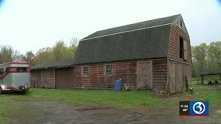 3 Massachusetts men arrested for animal cruelty in Middletown