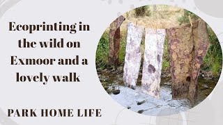 Exmoor part two, ecoprinting in the wild