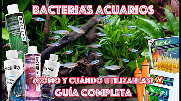 ¿Cuánto tardan en crecer las bacterias beneficiosas en un acuario?