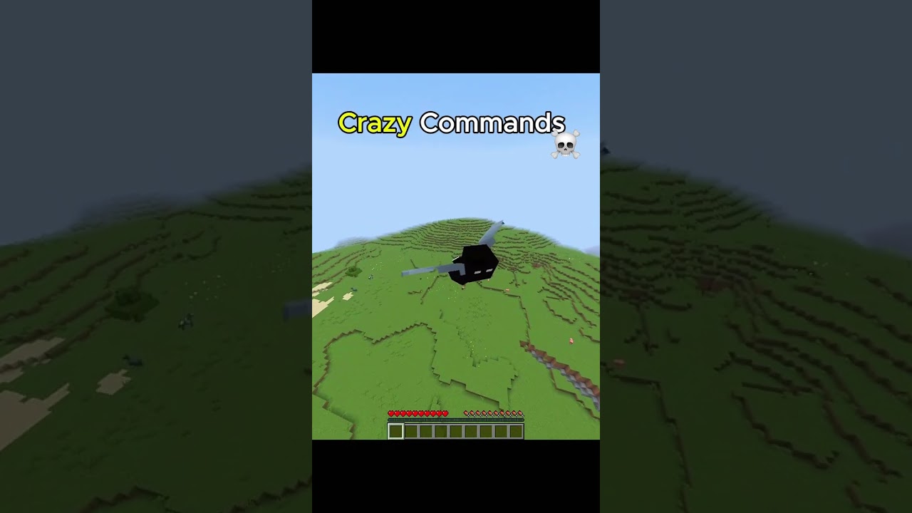 Minecraft Insane Commands Moment 💀