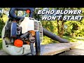 Echo leaf blower won't start after storage.