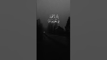 سورة النساء::::::::القارئ نايف الجاسر