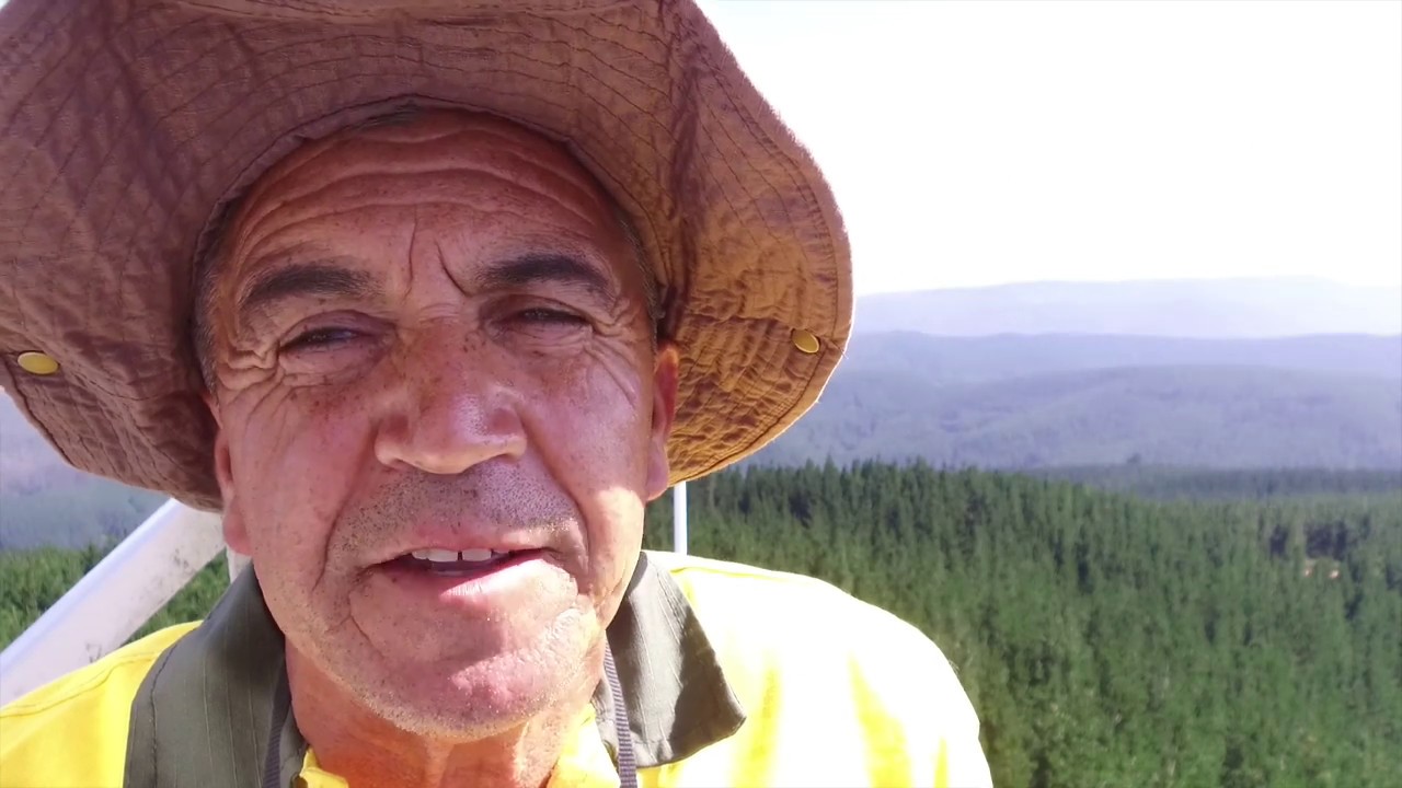 Torreros: La vital tarea de detectar los humos y alertar inicio de incendios