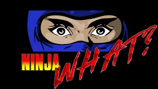 Ninja Gaiden (NES) Reimagined // Ninja Noboken Indie Game screenshot 5