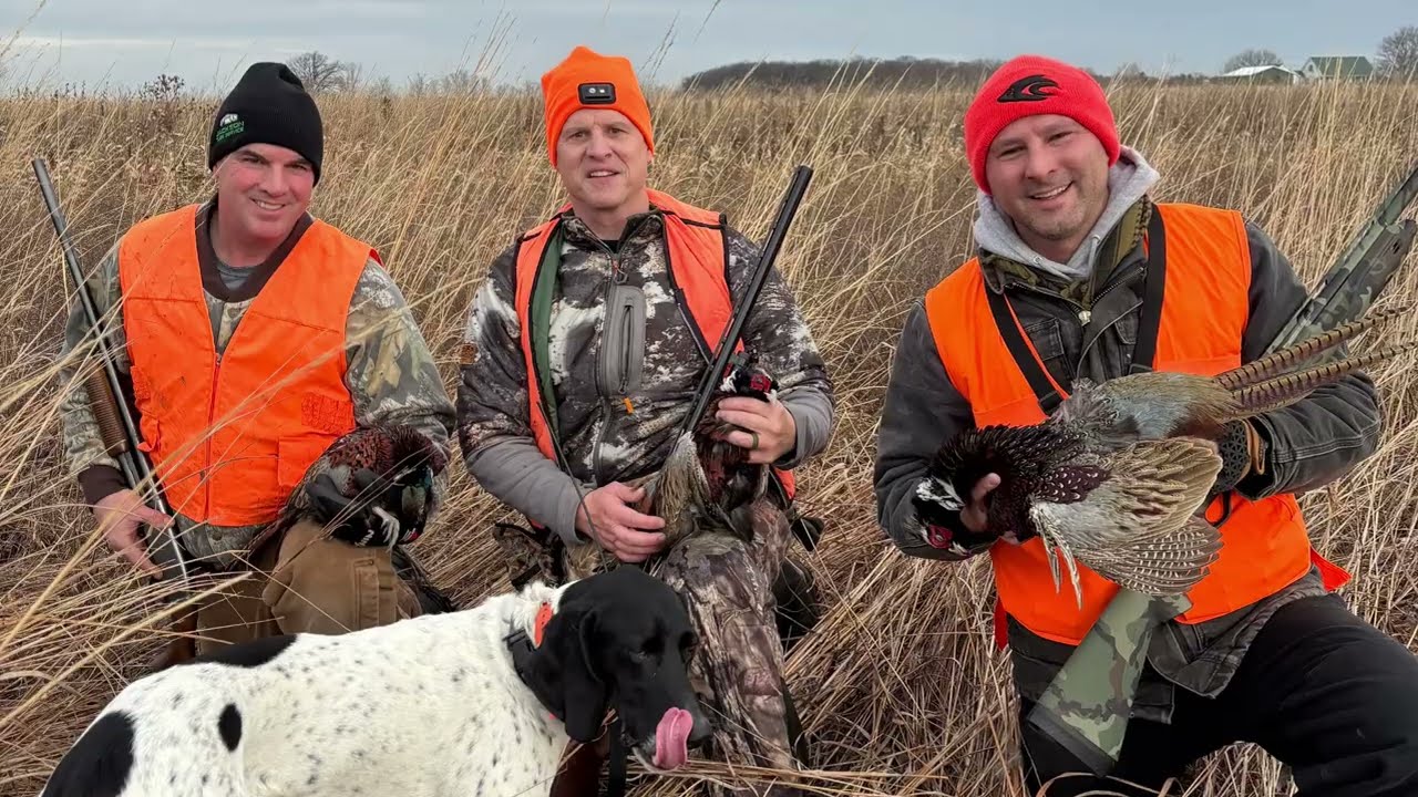 Pheasant Hunting 2025