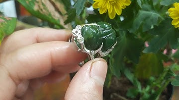 Phong Thủy Nhẫn Tỳ Hưu Bọc Bạc Ngọc Bích Thiên Nhiên Nephrite Jade |Linh Khí Đất Việt 0903996911