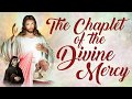 🙏 The Chaplet of The Divine Mercy - Very Powerful 🙏