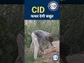 पत्थर ने सबूत उजागर कैसे की | Cid New Episode 2025 | Cid New Episode 2026 | Cid new episode | #cid