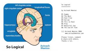 Zygma from So Logical by Avinash Meetoo