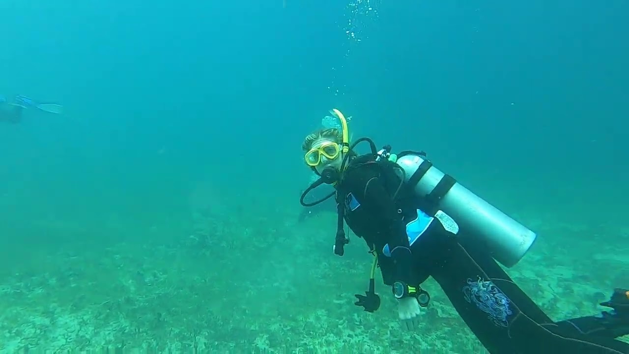 St. Kitts - Scuba Diving - River Taw - June 8, 2025