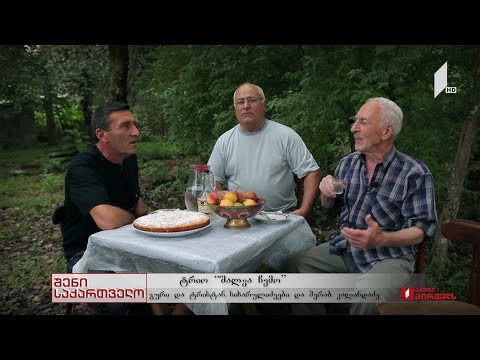 #შენისაქართველო პორტრეტი - ტრიო „შალვა ჩემო“