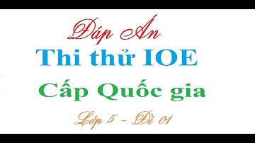 IOE| Thi thử IOE lớp 5 cấp Quốc gia 2023 có đáp án chuẩn