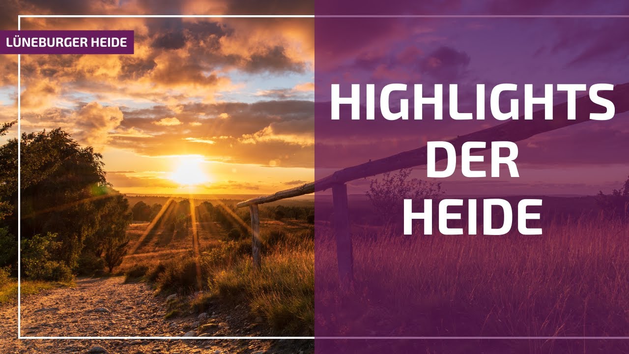 Highlights der Lüneburger Heide: Totengrund und Wilseder Berg