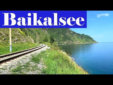 Video: Baikal, Tierwelt. Baikalsee, Russland