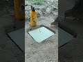 Beautiful Parrot Trap Creative #shorts