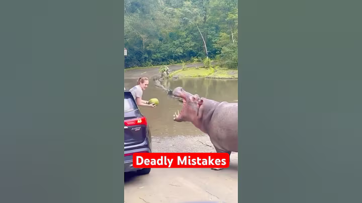 동물을 키우면서 절대 해서는 안 될 치명적인 실수 5가지 #반바지