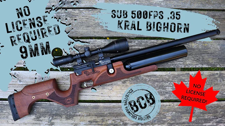 Sub 500FPS 9mm .35 cal Kral Bighorn Review! BCBALLISTICS