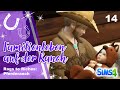 Familienleben mit Höhen & Tiefen | Die Sims 4: Rags to Riches Challenge - Pferderanch #14 | deutsch