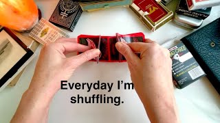 Trying Out Shuffling Lots of Decks of Cards ~ ASMR Soft Spoken