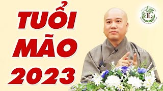Nguoi Tuoi Mao Con Meo Nam 2023 Can Chu Y Nhung Gi - Thay Thich Phap Hoa