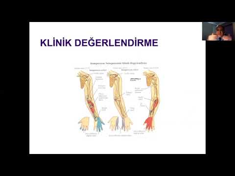 TF 5 Dersleri / Ortopedi ve Travmatoloji - 07 Üst Ekstremite Problemleri