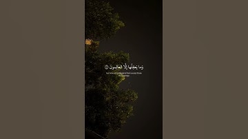 ﴿ وَتِلكَ الأمثَالُ نَضرِبُهَا لِلنَّاسِ ﴾ سوره العنكبوت، عبدالرحمن مسعد #ارح قلبك #قرآن #قران كريم