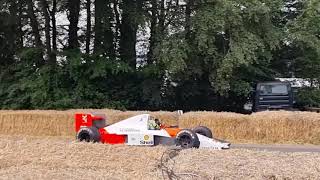 LANDO NORRIS at goodwood driving Mclaren, and more F1