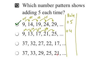 EQAO Grade 3 Math 2016 Question 13 Solution