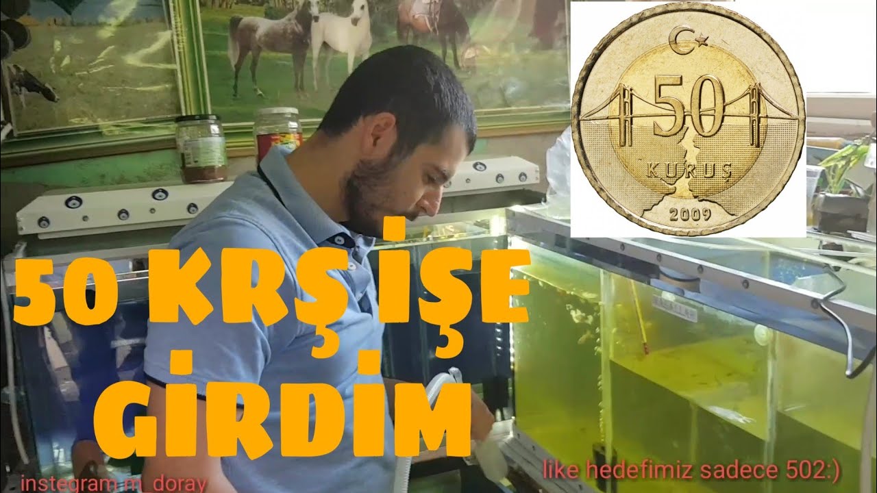 Lepistes üretim hanesinde ( ÇALIŞDIM ) 50 KRS MAAŞ