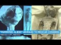 Insane Update to the Alien Information