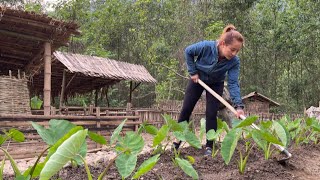 How To Make An Eco-Friendly Farm Organic Fertilizer For Potatoes Beans Squash For Cooking Ep35