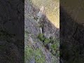 Springtime snowmelt runoff