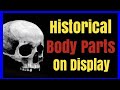 16 Historical Figures With Body Parts You Can Still See Today!