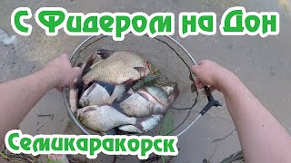 Рыбалка в Семикаракорске / Ночная Рыбалка / Дон Батюшка / Фидер на Дону / Осетр / Fishmir /