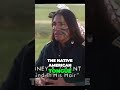 Embracing lakota heritage a beautiful connection with animals dances with wolves 1990 movies