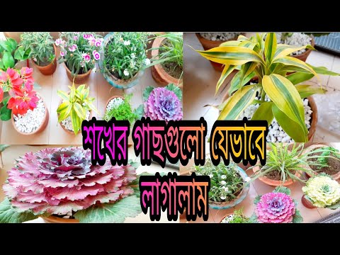 ভিডিও: চ্যানেলের সিদ্ধান্ত কি?