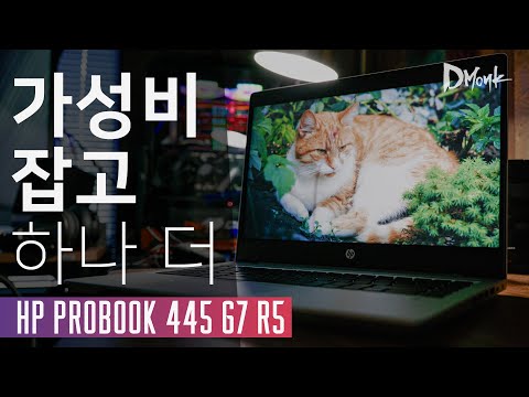 AMD 르누아르? 가성비 잡고, 하나 더. HP프로북 445 G7 R5