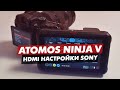 ATOMOS NINJA 5 HDMI НАСТРОЙКИ С КАМЕРОЙ SONY a7iii a73 a7siii a7s3 a7sii a7s2