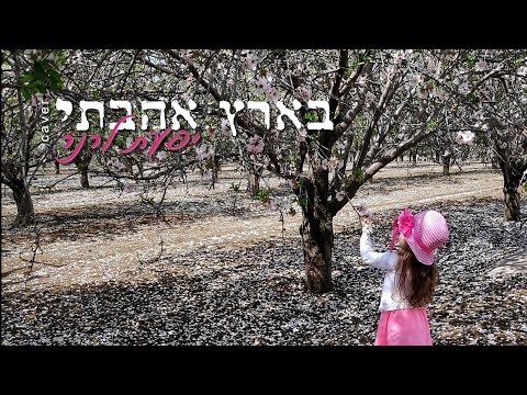 בארץ אהבתי יפעת לרנר קאבר 