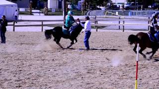 Pony Express screenshot 4