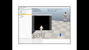 Grayscale and Binary Images from CoppeliaSim Vision Sensors with Centroid and Bounding Box