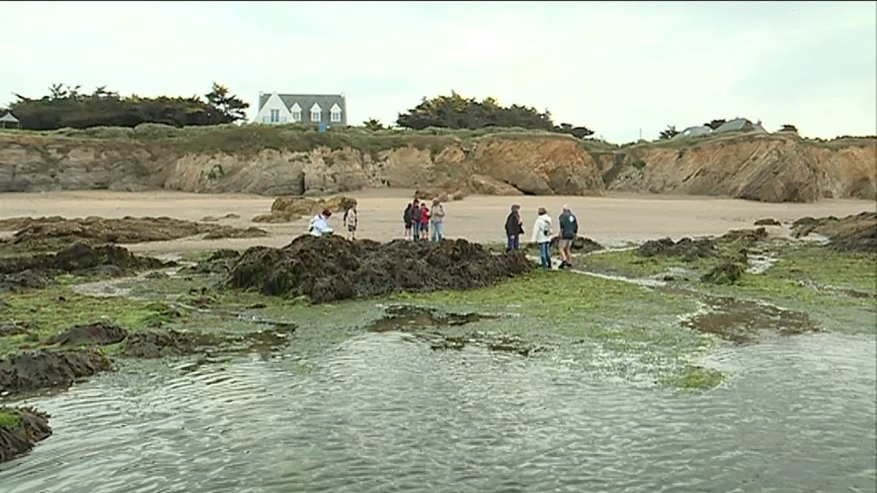 france télévisions sport Série plages : la pointe du Castelli à Piriac-sur-Mer