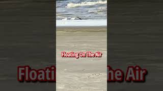 We Saw Jellyfish! - El Jardín Beach Seabrook TX Perfect Family Beach Day! Texas Gulf Coast Fun