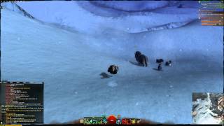 GW2 Falling Damage bug
