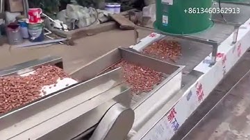 Full Automatic Peanut Butter Making Machine Line Complete For Butter Production Line